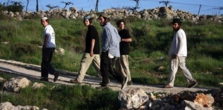 Settlers storm the archaeological area of â€‹â€‹Jdour north of Beit Ummar
