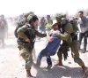 Occupation assaulted a sit-in near the Dead Sea
