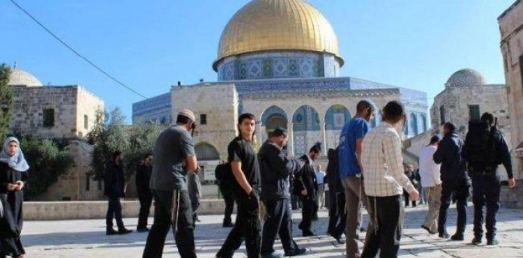 Foreign Ministry calls for urgent international action to protect Al-Aqsa