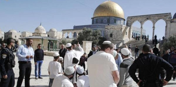 Ministry of Endowments warns of new attacks on Al-Aqsa