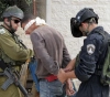 Occupation arrests 10 Palestinians