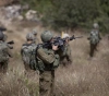 Occupation targets farmers and sheep herders on Gaza border