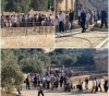 Settlers storm the Aqsa