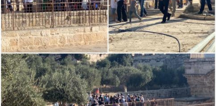 Settlers storm the Aqsa