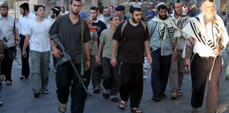 The Ministry of Foreign Affairs: International indifference to the suffering of our people encourages the occupation and settlers to continue their attacks