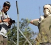 Report: High frequency of settler attacks in olive harvest season