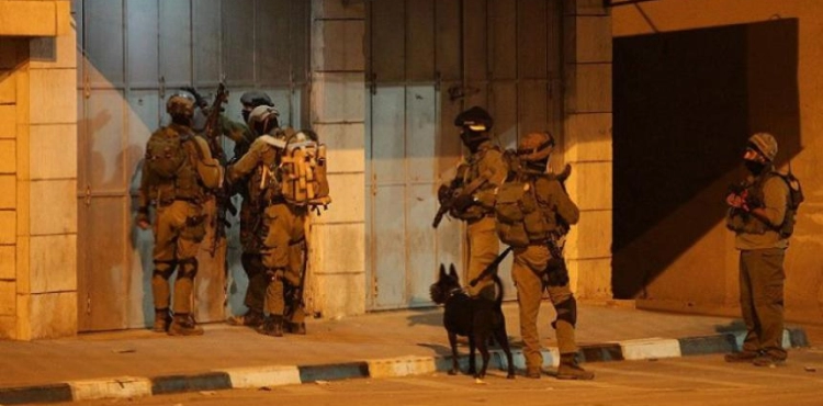 14 Palestinians were arrested in the West Bank