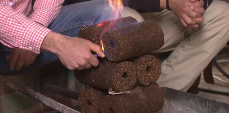 Gaza: Engineers use pressed olive residues for safe heating