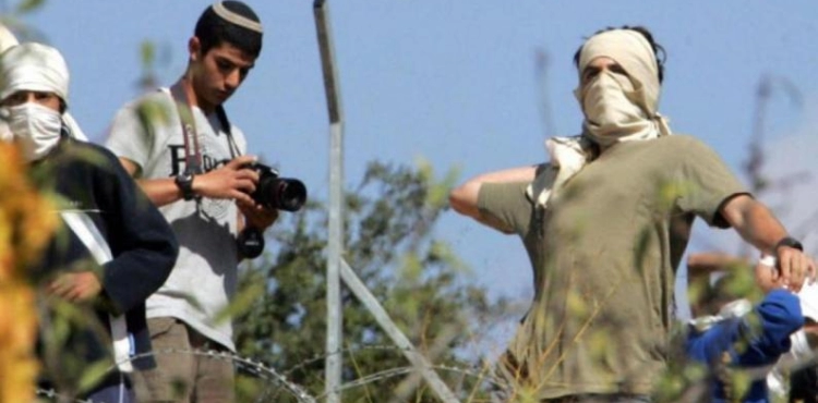 Settler crimes rise in the West Bank .. The army accuses politicians of protecting them