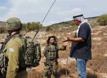 The occupation forces detain farmers while they pick olives south of Nablus