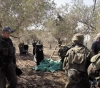 The suffering of farmers in the olive harvest in the lands behind the annexation and expansion wall