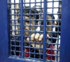 Intentional medical violation of three prisoners in Israeli detention