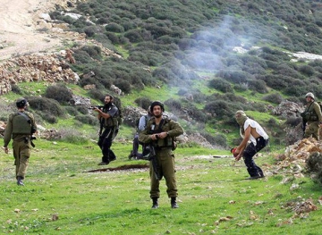 Settlers set fire to Madama land