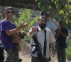Settlers assault farmers in Yatta