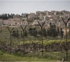 The occupation authorities seize agricultural land in the northern governorates