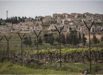 The occupation authorities seize agricultural land in the northern governorates