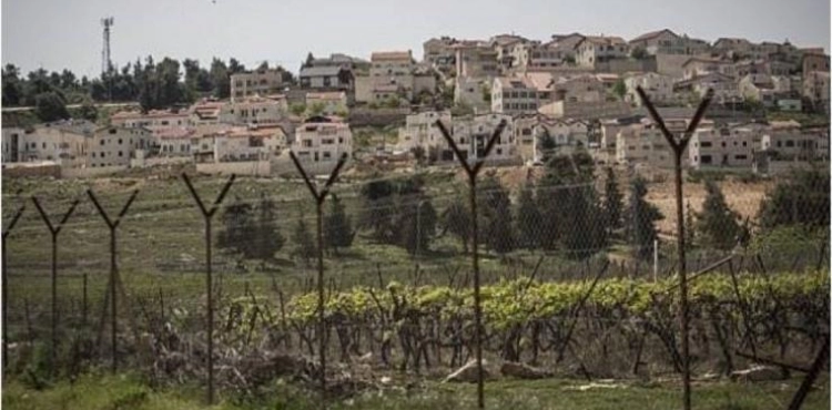 The occupation authorities seize agricultural land in the northern governorates