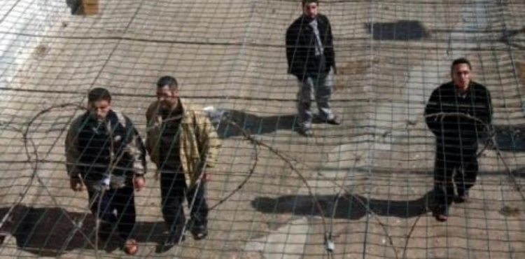 Prisoners Authority: 5000 prisoners in the occupation prisons