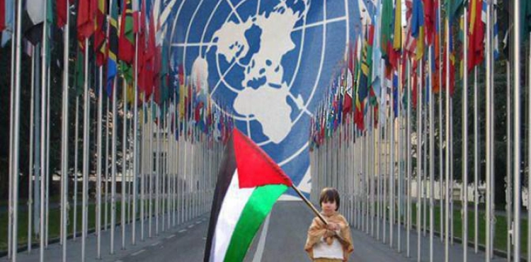 The United Nations calls for raising $ 348 million for the humanitarian response plan for the Palestinian territories