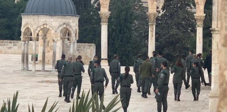 Dozens of settlers break into Al-Aqsa