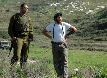 Within 3 months ... 62 hate crimes and the destruction of 250 olive trees by settlers