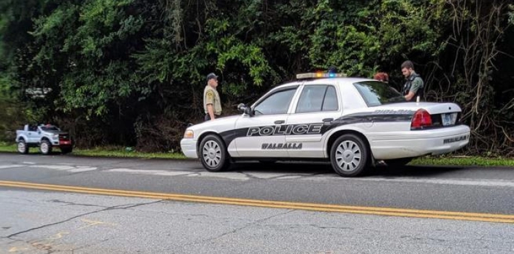 The strangest crimes in America in 2019