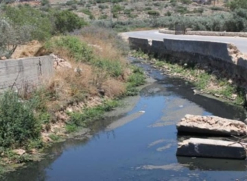 The settlers are pumping their wastewater in the valleys east of Qalqilya