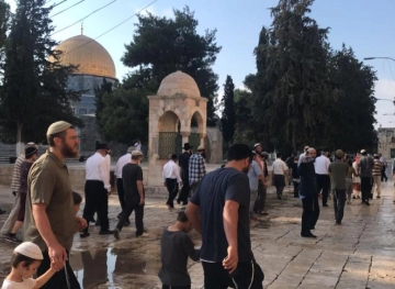 Settlement invitations to participate in the widespread storming of Al-Aqsa tomorrow