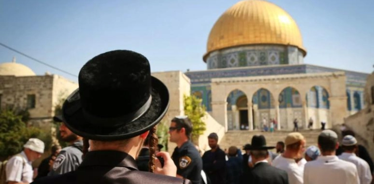 Dozens of settlers storm Al-Aqsa to protect the occupation police