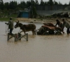 Houses drowned in Gaza neighborhoods due to heavy rains