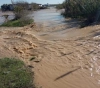 The occupation drowns 1000 acres in eastern Gaza
