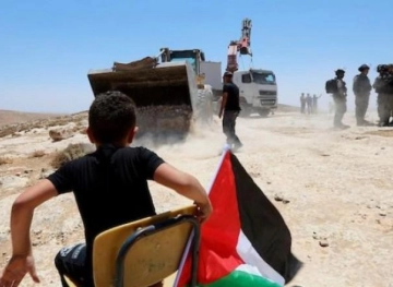 The occupation notifies a citizen of demolishing structures and uprooting trees in the northern Jordan Valley
