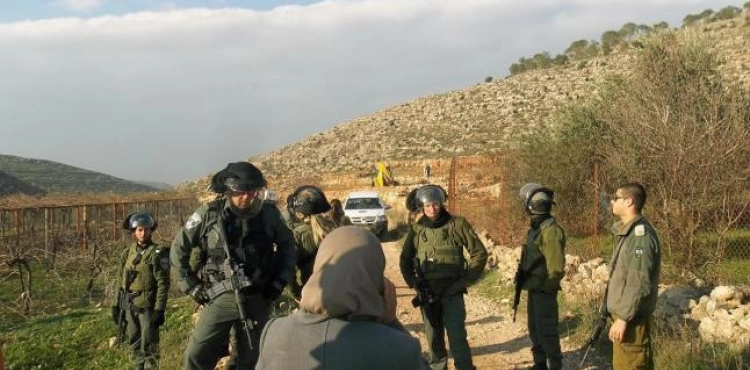 The occupation confiscates 350 dunums south of Bethlehem