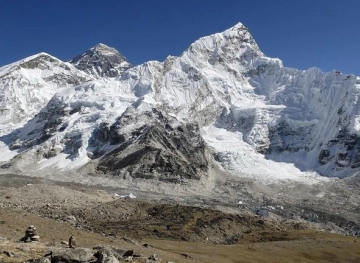 Herbs grow on Everest