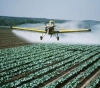 Gaza: One and a quarter million dollars in losses from farmers due to toxic occupation pesticides