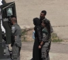 Occupation arrests a girl near the door of the column