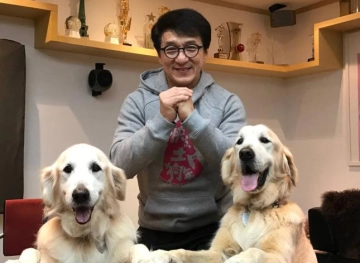 Is Jackie Chan infected with Corona virus?