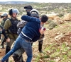 Confrontations during confronting bulldozing operations in Kasra