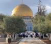 More than 160 settlers break into &quot;Al-Aqsa&quot;