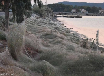 A mating ceremony for spiders turns a Greek lake into an abandoned vault.