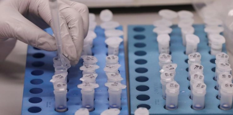 Gaza: 33 laboratory tests for suspected Corona. The results are sound.