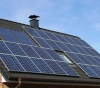 Enzymes extracted from tropical fruits enter the manufacture of solar cells