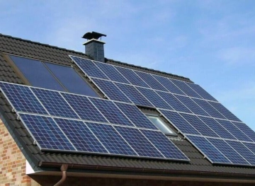 Enzymes extracted from tropical fruits enter the manufacture of solar cells