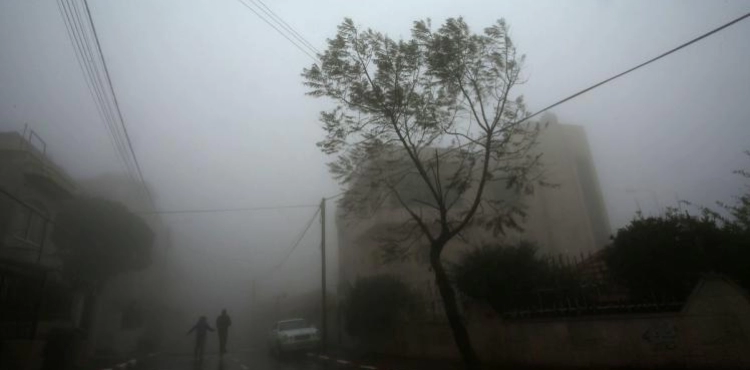 700 thousand dollars the losses of the agricultural sector in Gaza during the air depression
