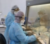&quot;Gaza Health&quot;: Correct results for 4 suspected cases of returnees