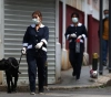 Training dogs to detect new infection with the Corona virus
