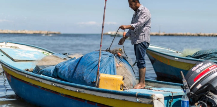 Gaza: A fisherman was wounded by the Israeli occupation forces