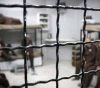Hamdouneh: The occupying power is almost the only one in the world that holds prisoners