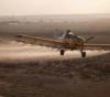 Occupation sprinkles harmful pesticides on agricultural land in Gaza