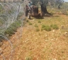 The Palestinians have no immunity from occupation and its settlers, even on their lands adjacent to their homes